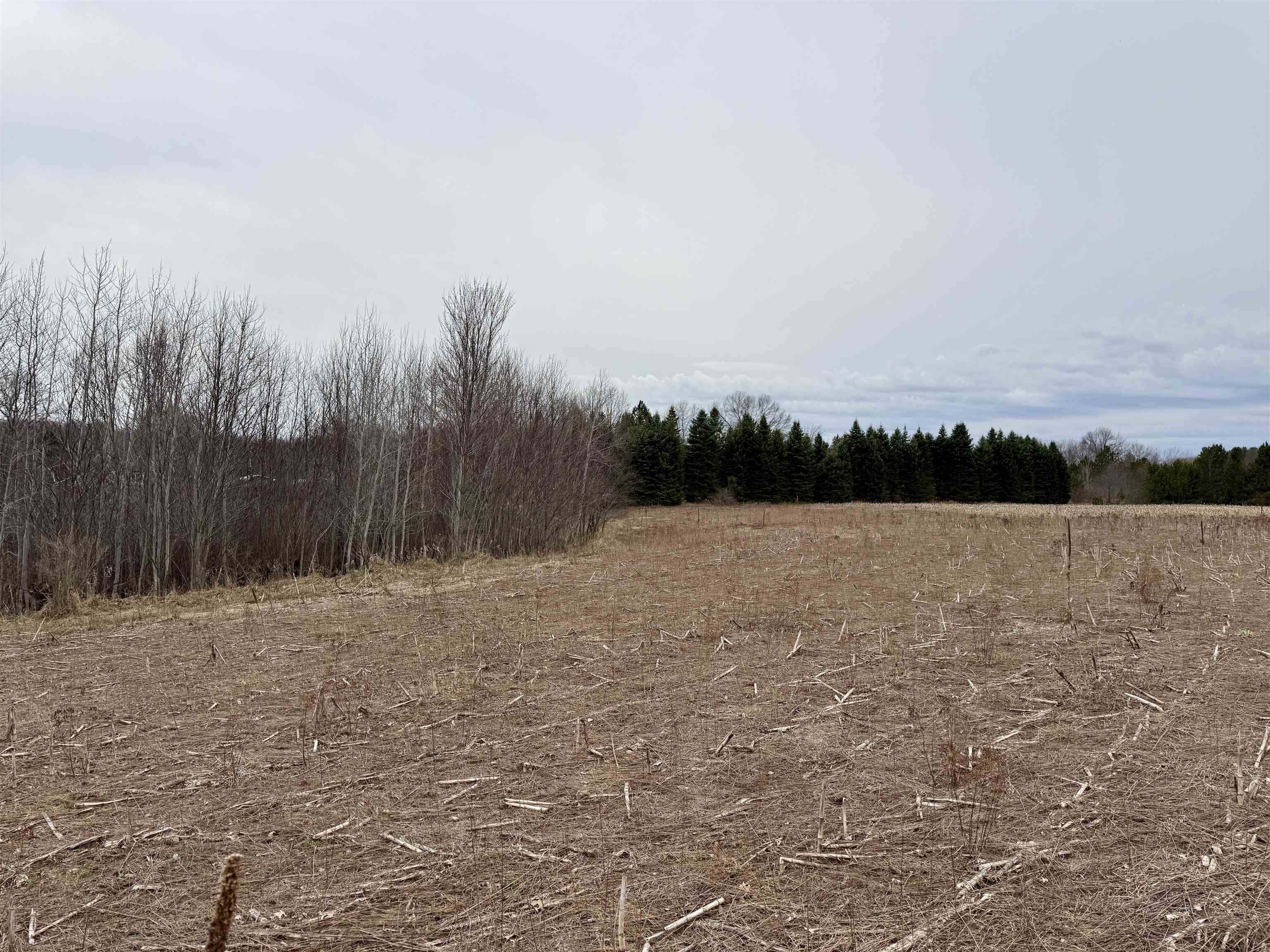 Gleaner Hall Road Kingsley, MI 49649 - Photo 10 of 21