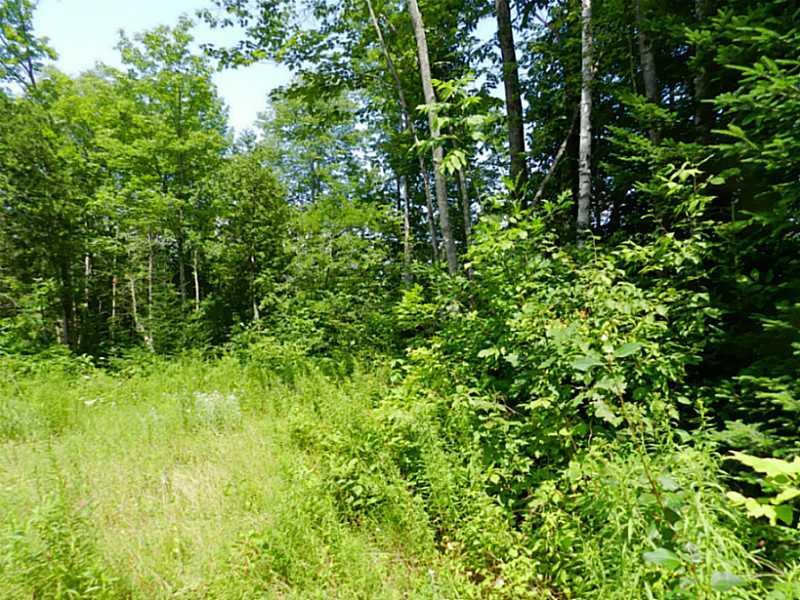 107 Ford Hill Road Hartland, ME 04943 - Photo 25 of 27 Land.