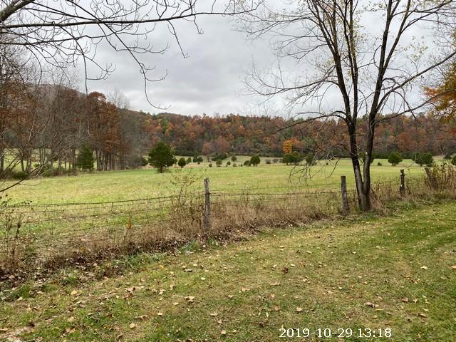 4505 Castile Road Covington, VA 24426 - Photo 5 of 11 view from rear