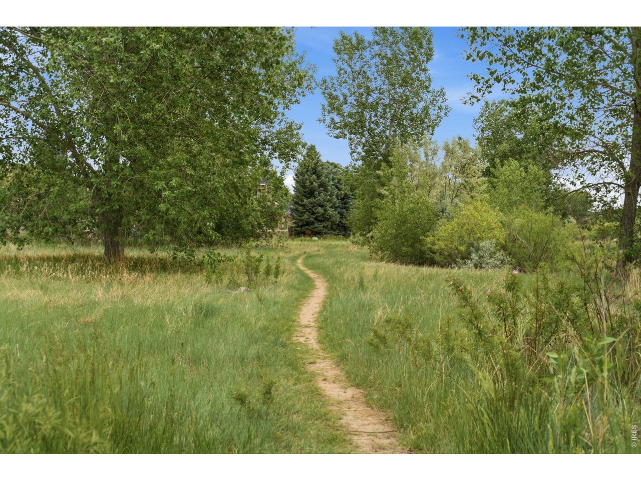 5408 Old Mill Road Fort Collins, CO 80528 - Photo 6 of 48