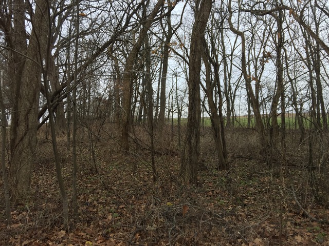 37626 Hunnington Ridge Hoopeston, IL 60942 - Photo 25 of 25 Gallery Image 25