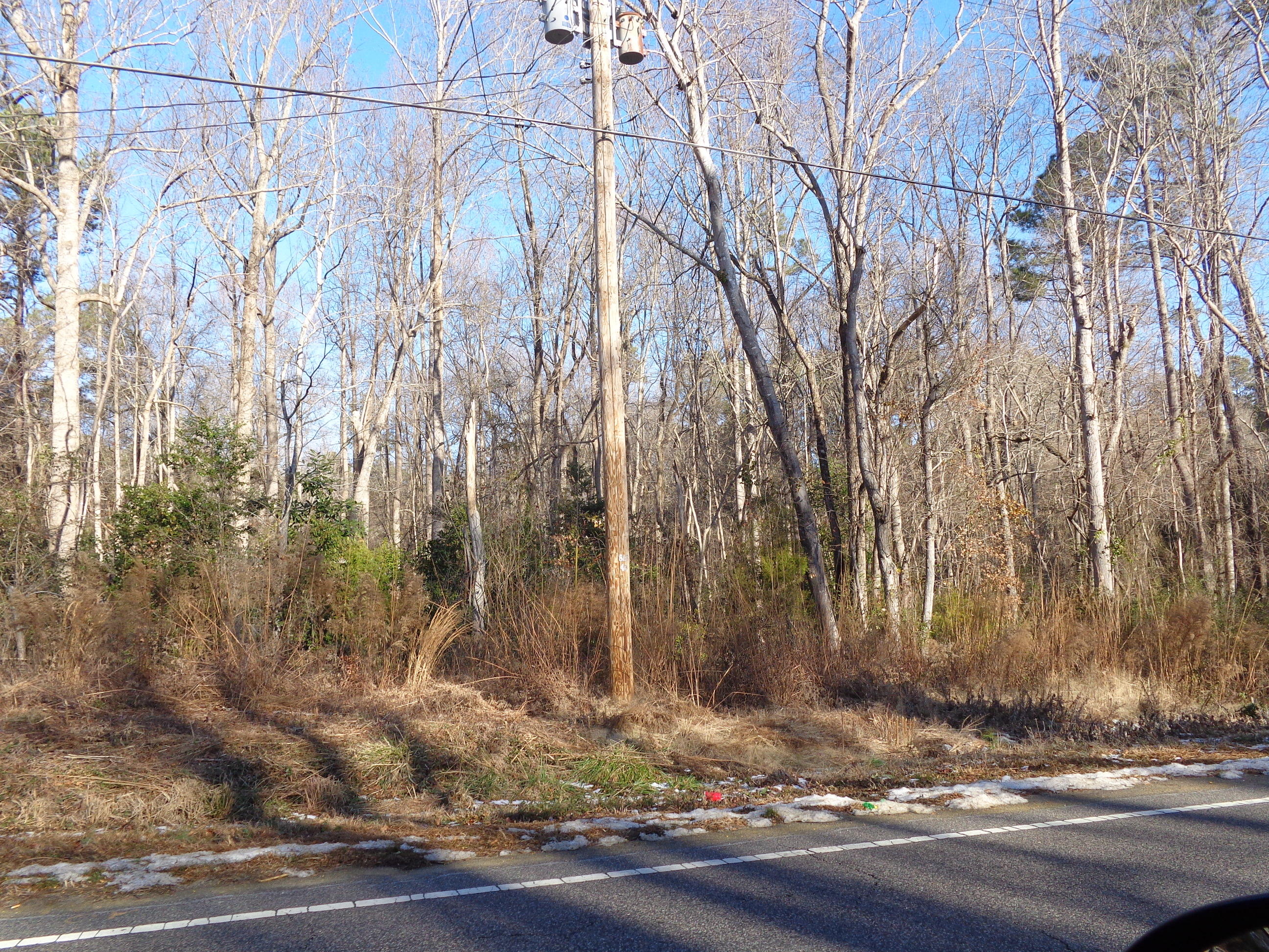 Tbd East Washington Street Extension Rockingham, NC 28379 - Photo 3 of 7 Lots of large trees.