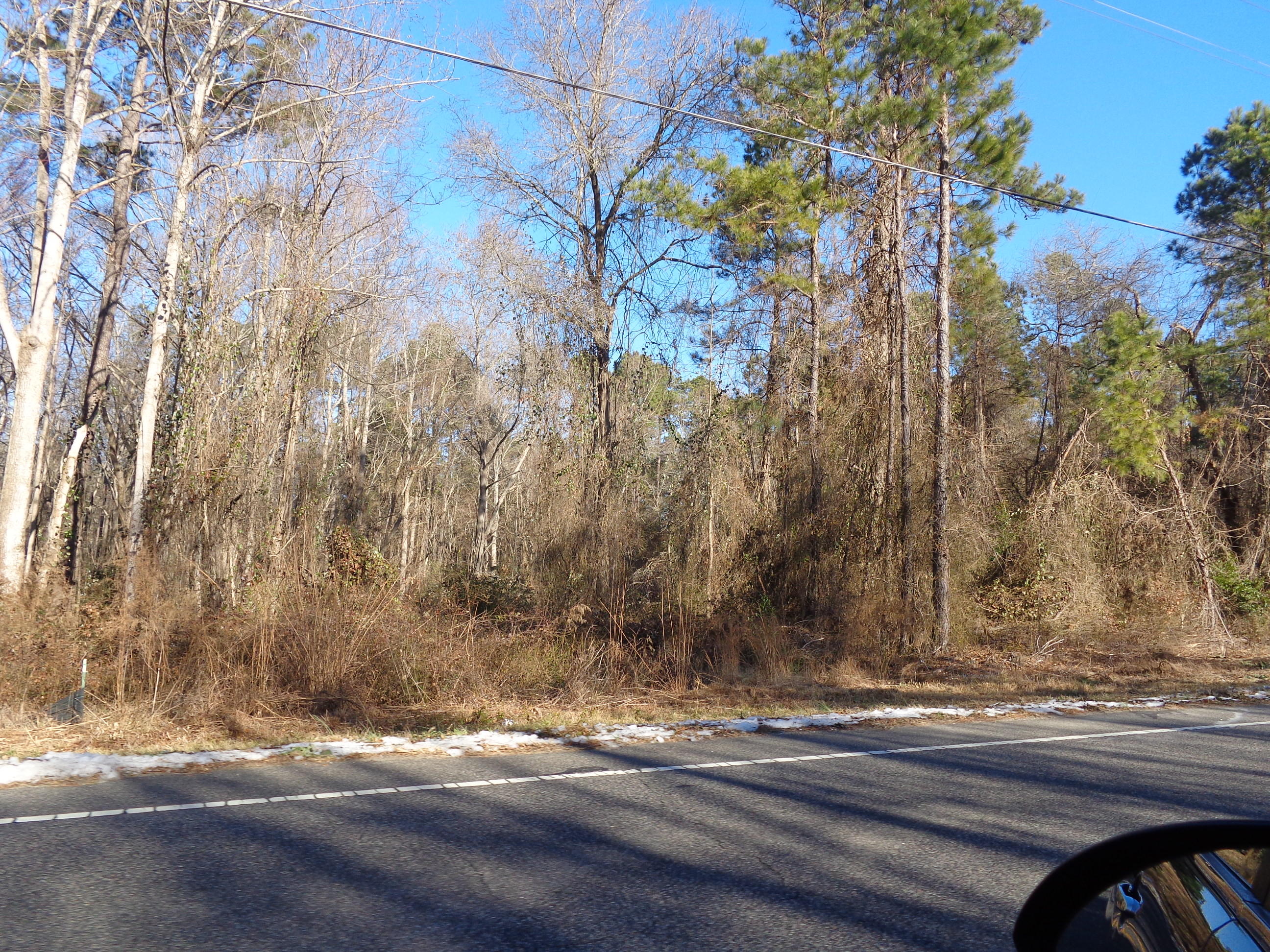 Tbd East Washington Street Extension Rockingham, NC 28379 - Photo 4 of 7 Pretty place to build.
