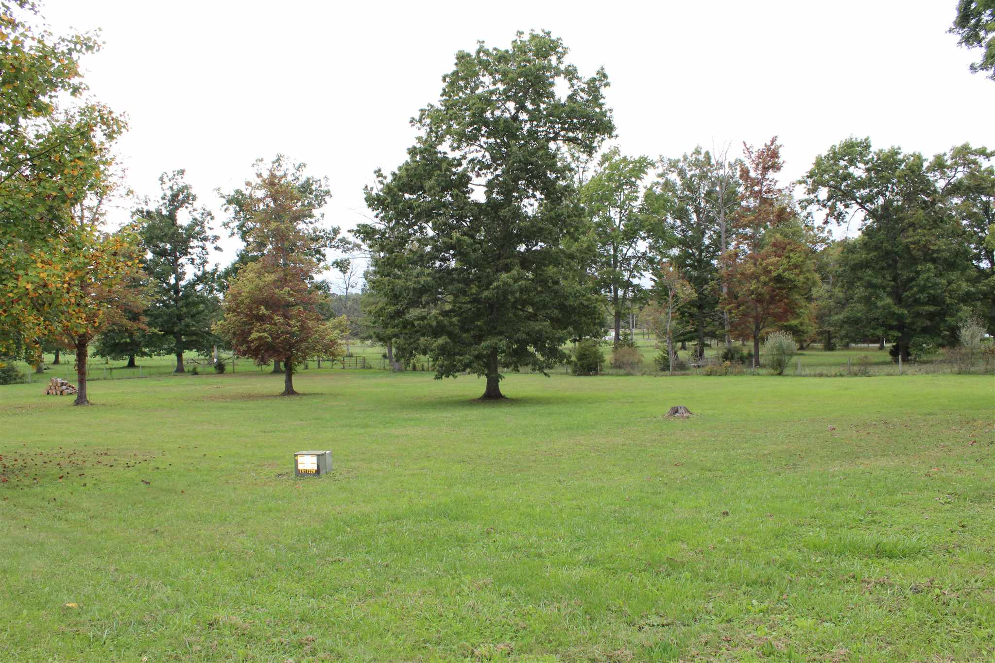 31 Old Back Road Raphine, VA 24472 - Photo 50 of 52 a view of field with trees