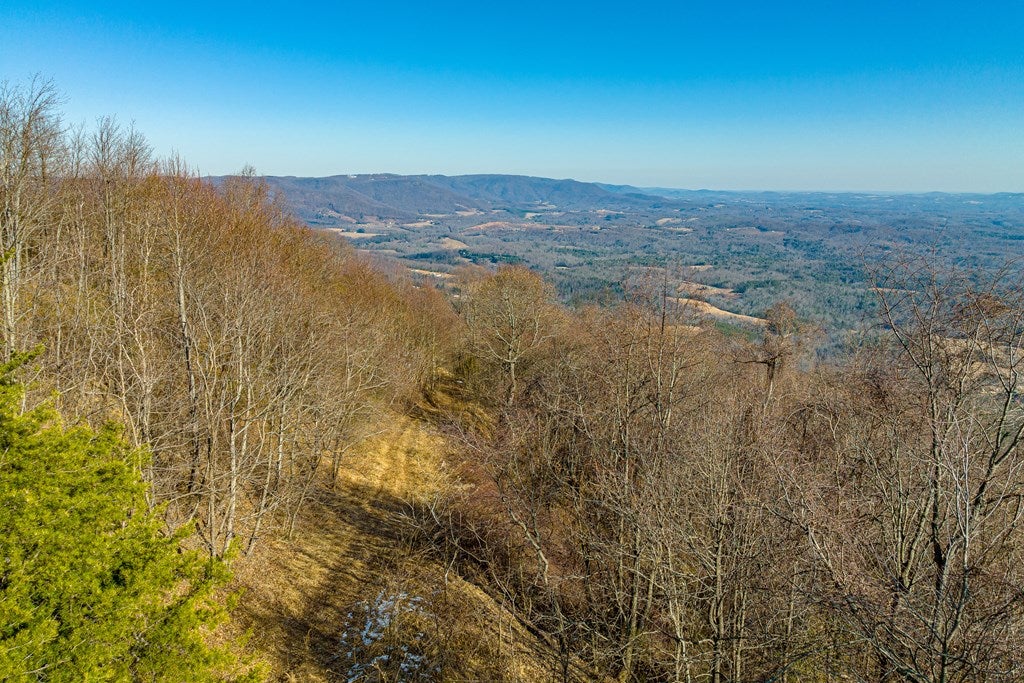 Lot 87 Reflections Point Trail, Unit 87 Fancy Gap, VA 24328 - Photo 5 of 6 Gallery Image 5