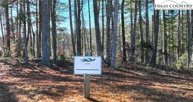 a view of a backyard with trees