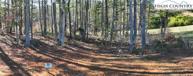 a view of a yard with plants