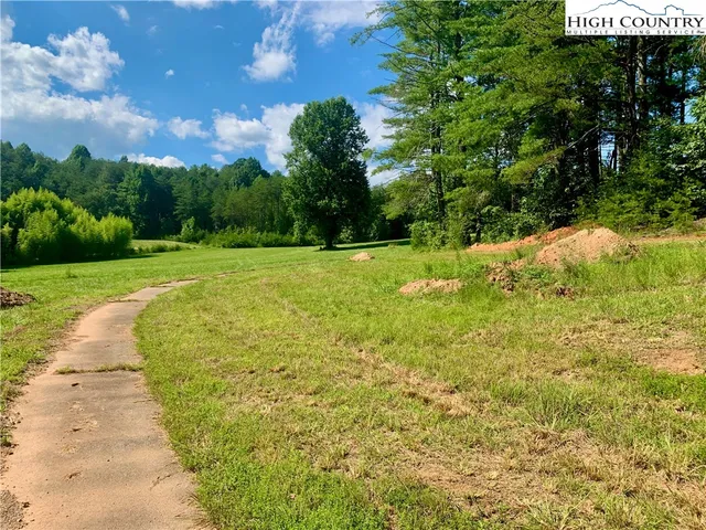 a view of a yard with a tree