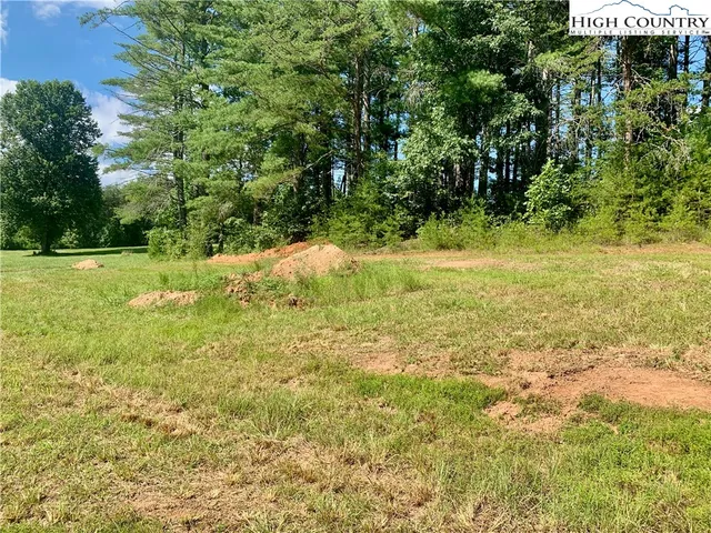 a view of a yard with an trees