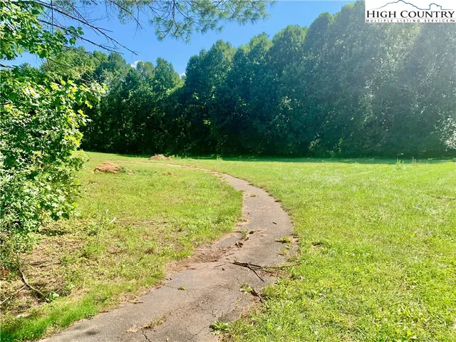 a view of a yard with an trees