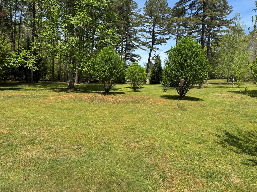 33 Big Tree Road Suches, GA 30572 - Photo 22 of 25 a view of a yard with swimming pool