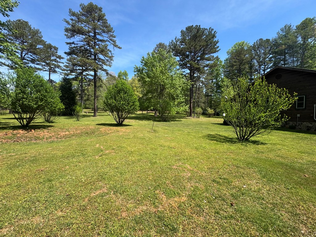 33 Big Tree Road Suches, GA 30572 - Photo 3 of 25 a view of outdoor space with garden and trees