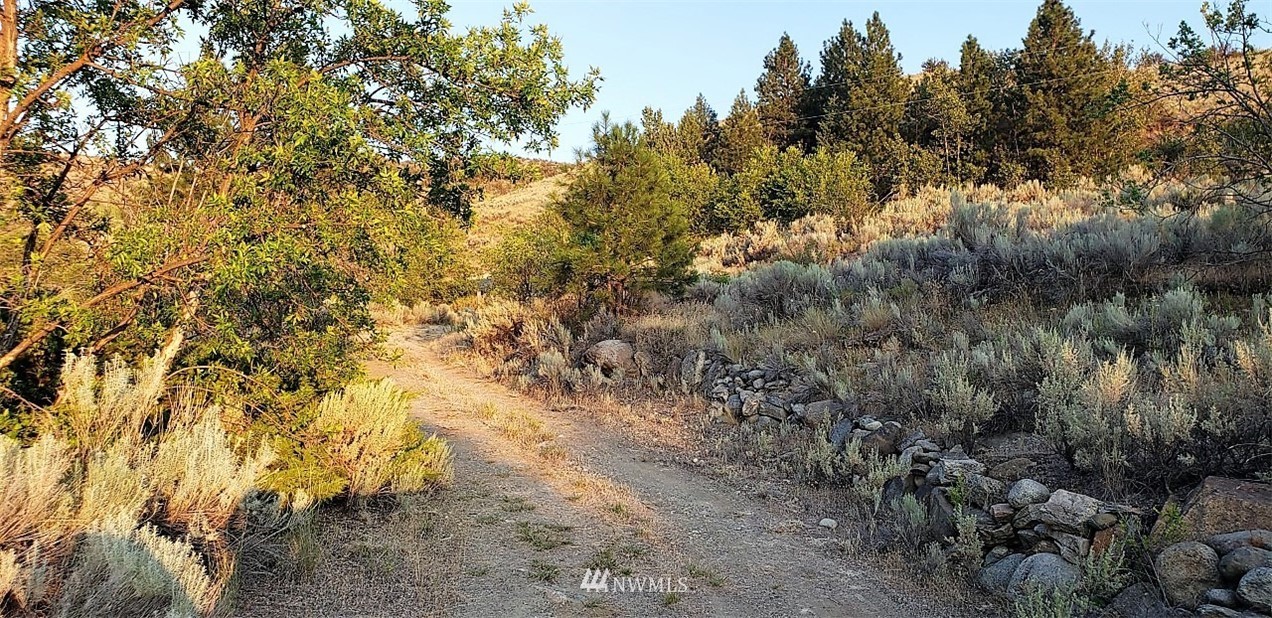 99A Omak-Riverside Eastside Road Omak, WA 98841 - Photo 2 of 11 Gallery Image 2