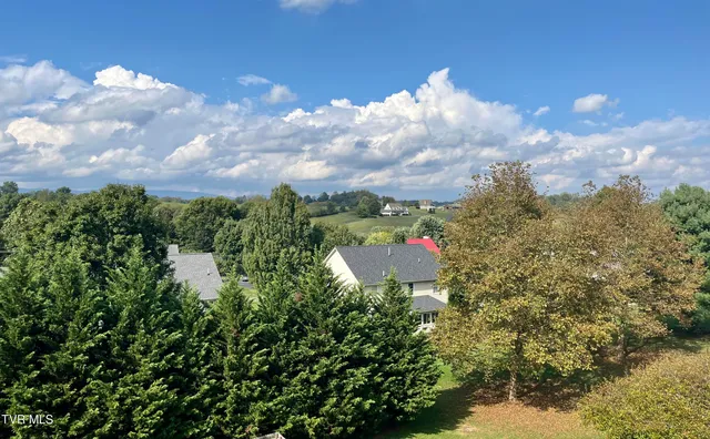 $705,000 | 18430 Whites Point Drive, Abingdon, VA 24211