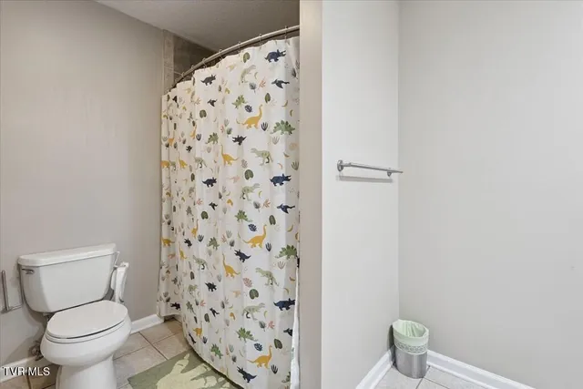 $705,000 | 18430 Whites Point Drive, Abingdon, VA 24211