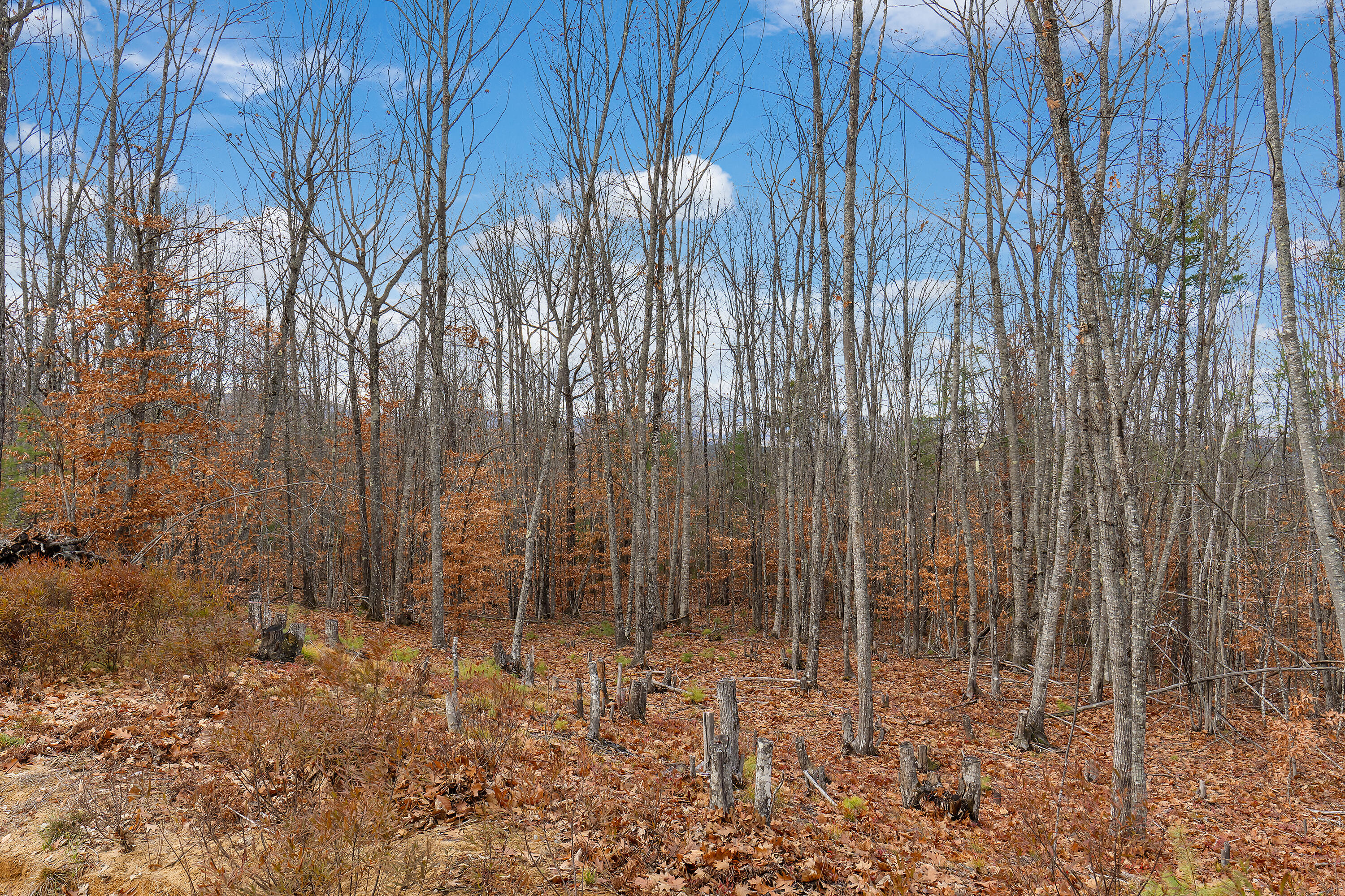 192 Mountain View Road Fryeburg, ME 04037 - Photo 27 of 37 192 Mountain View Rd_116