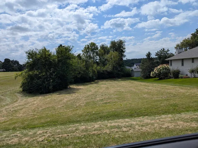 a view of a yard with an trees