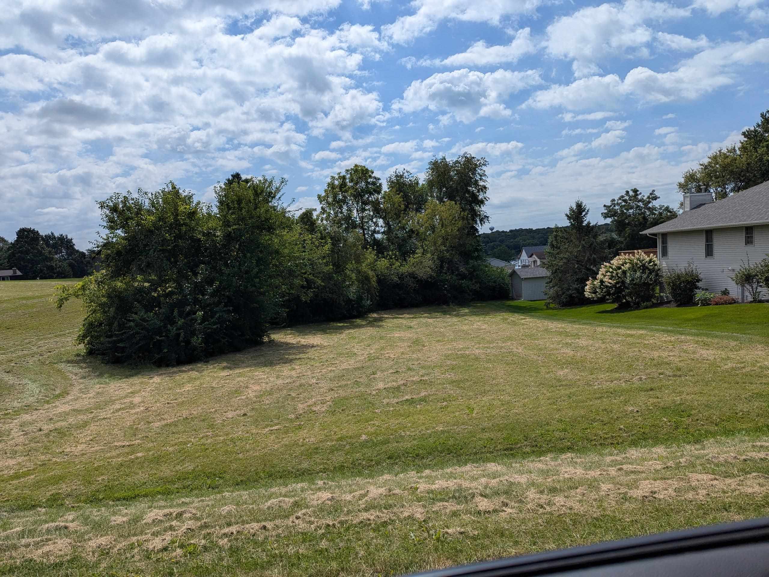 a view of a yard with an trees