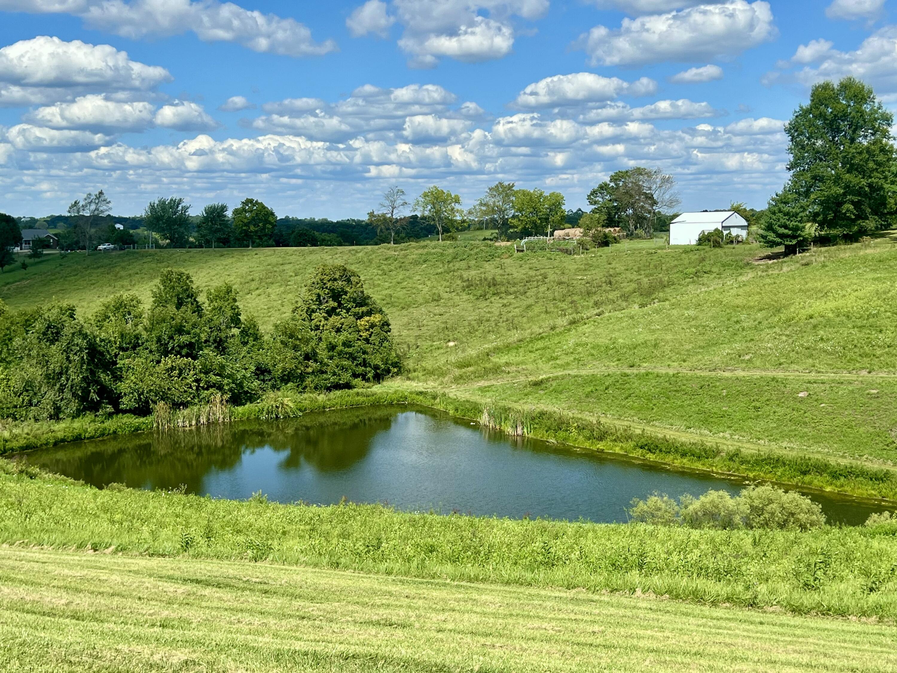 655 Humes Ridge Road Williamstown, KY 41097 - Photo 21 of 37 Gallery Image 21
