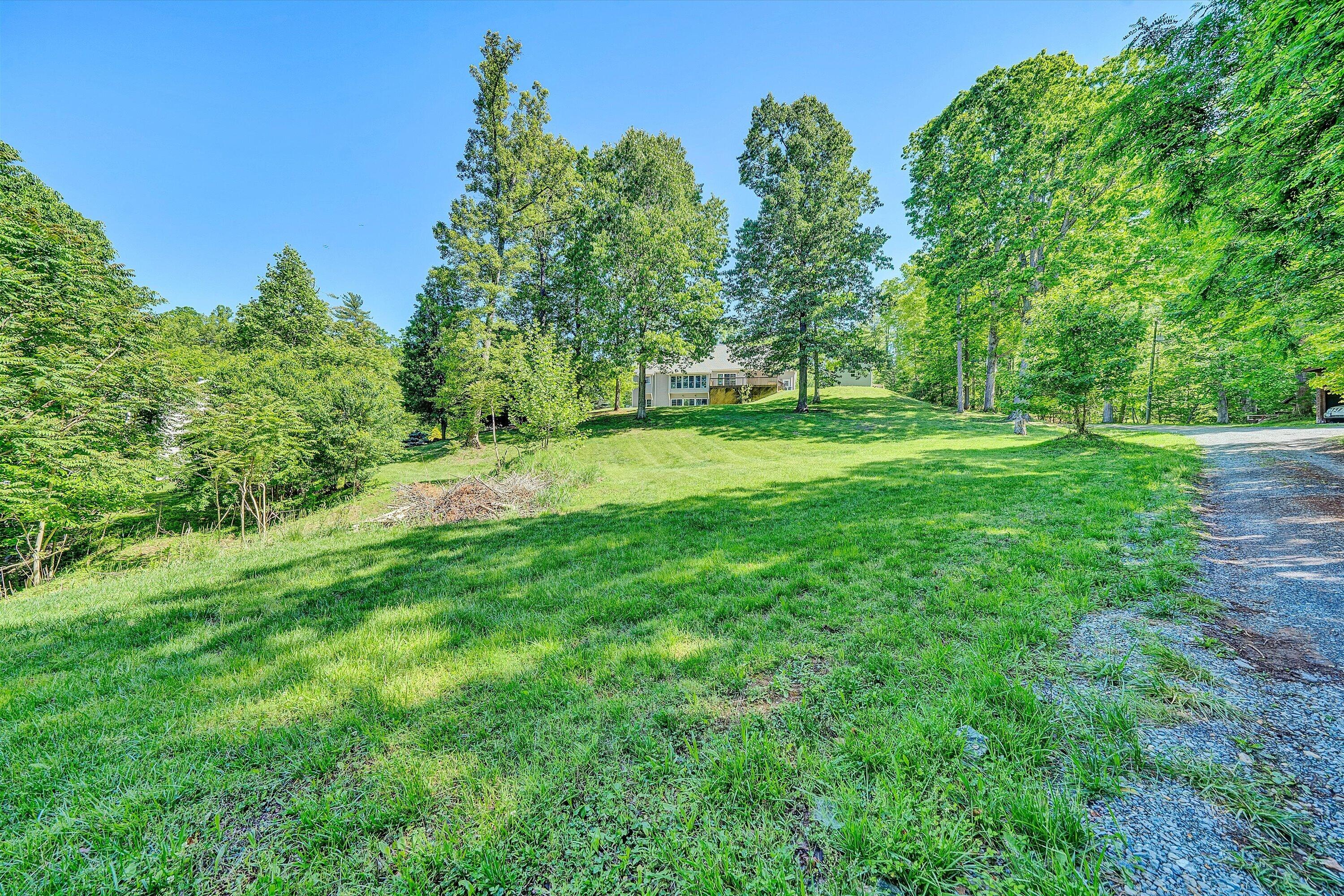 1805 Carroll Road Goodview, VA 24095 - Photo 57 of 61 a view of a field with trees in the background