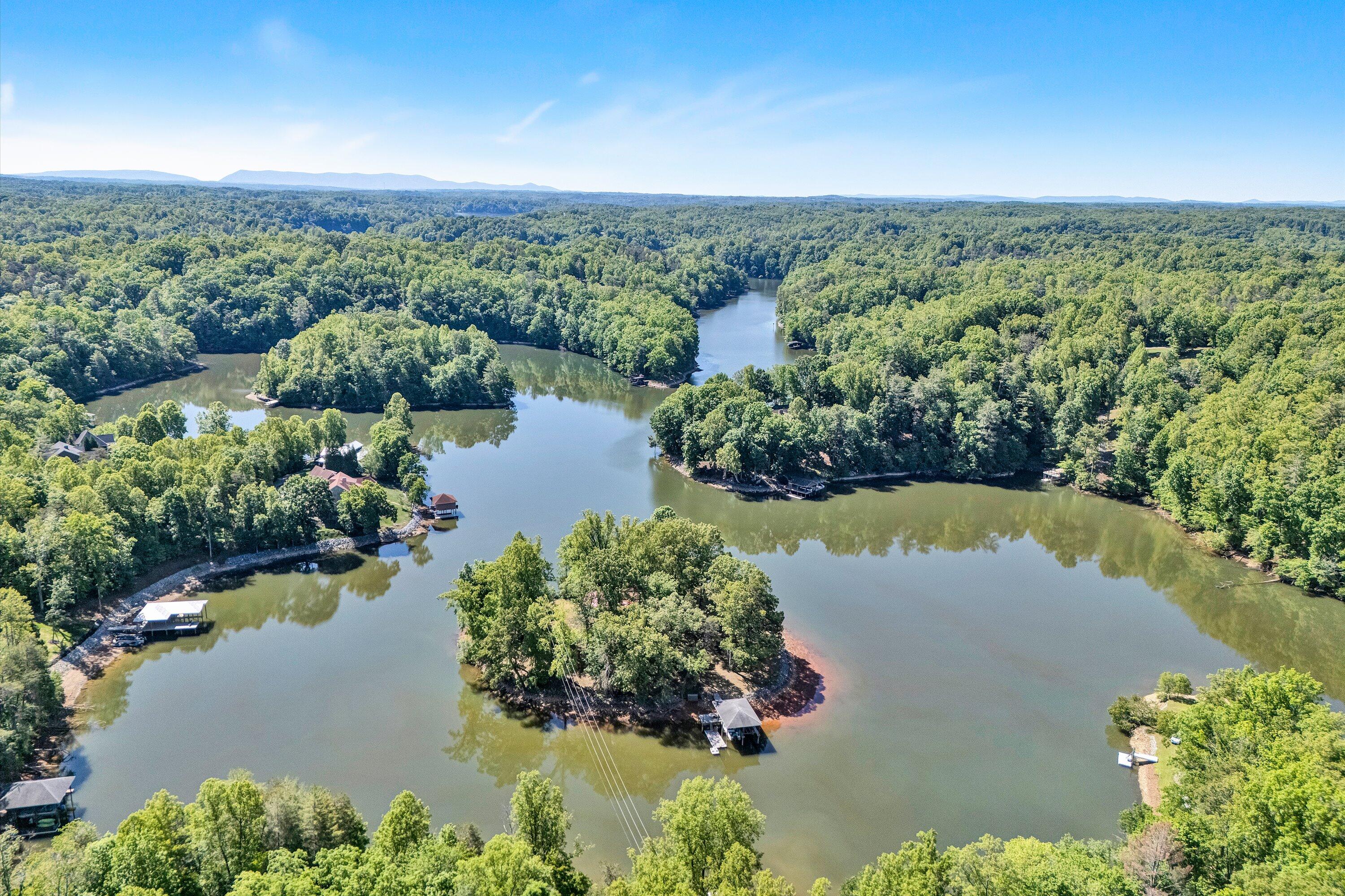 1805 Carroll Road Goodview, VA 24095 - Photo 59 of 61 an aerial view of green landscape with trees houses and lake view