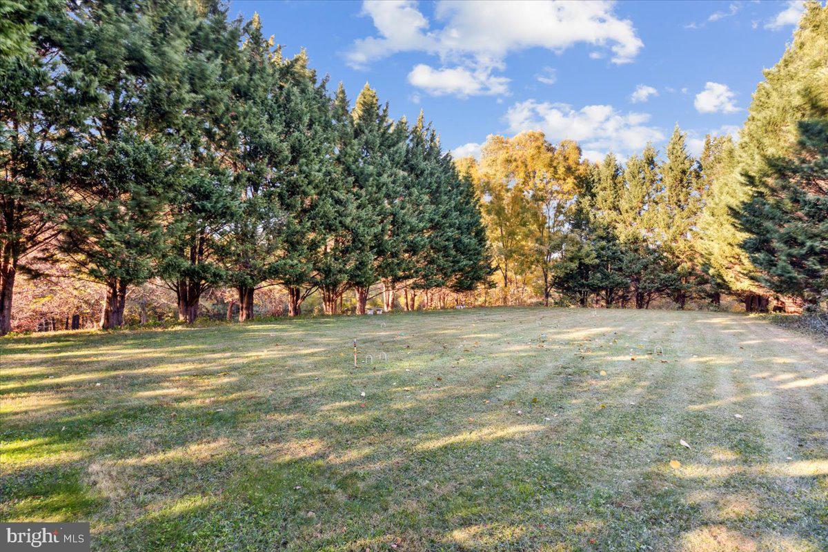 7130 Ira Sears Road Adamstown, MD 21710 - Photo 53 of 70 Evergreens, Oak, Walnut, Maple trees and many more
