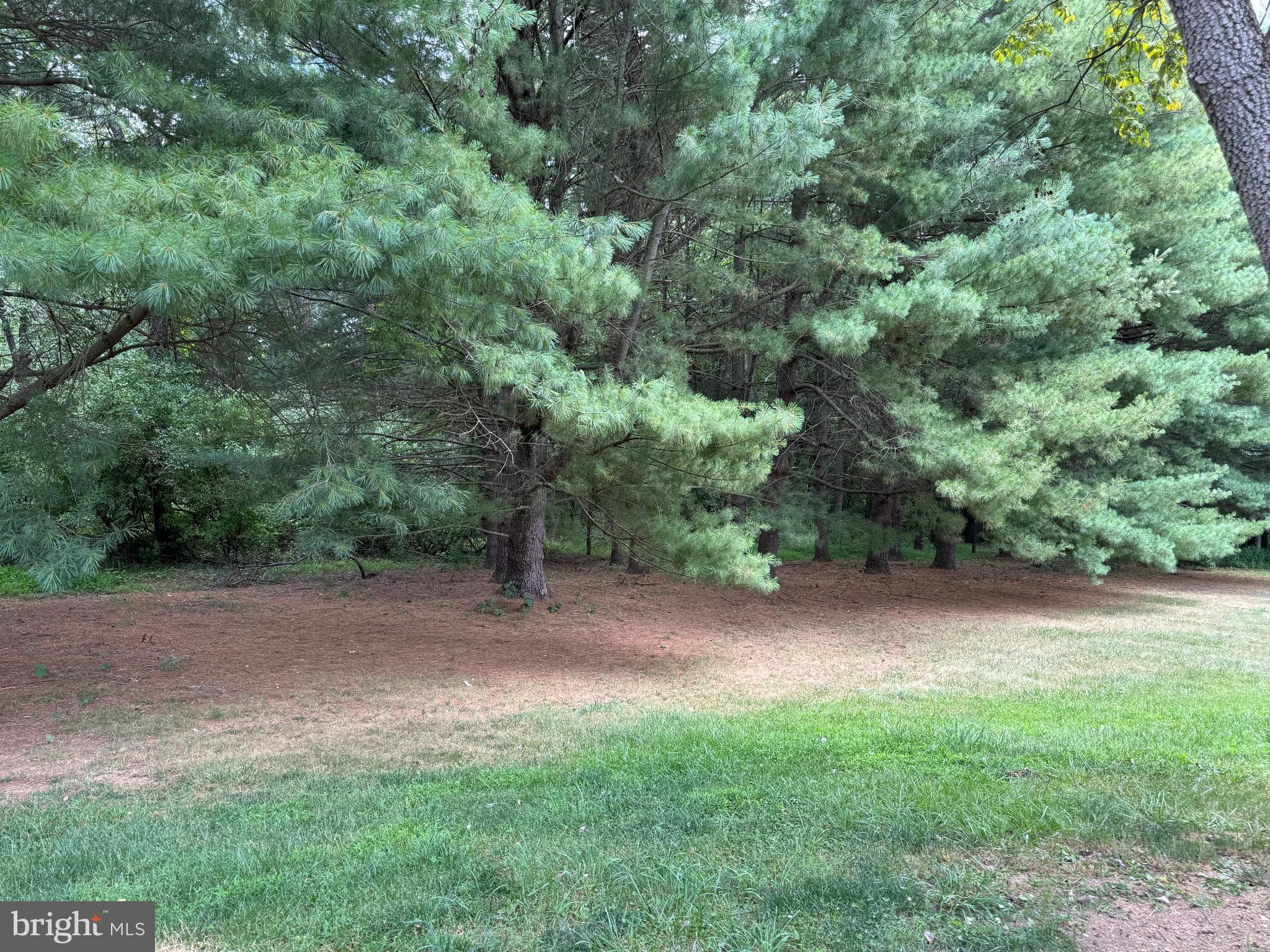 1717 Jordan Springs Road Stephenson, VA 22656 - Photo 42 of 46 Gallery Image 42