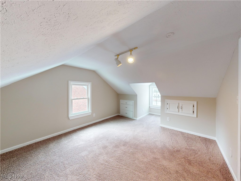 1343 Irene Road Lyndhurst, OH 44124 - Photo 18 of 32 Additional living space with lofted ceiling, light carpet, and a textured ceiling
