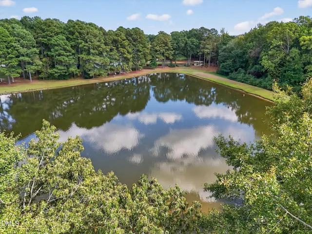 a view of a lake in a forest
