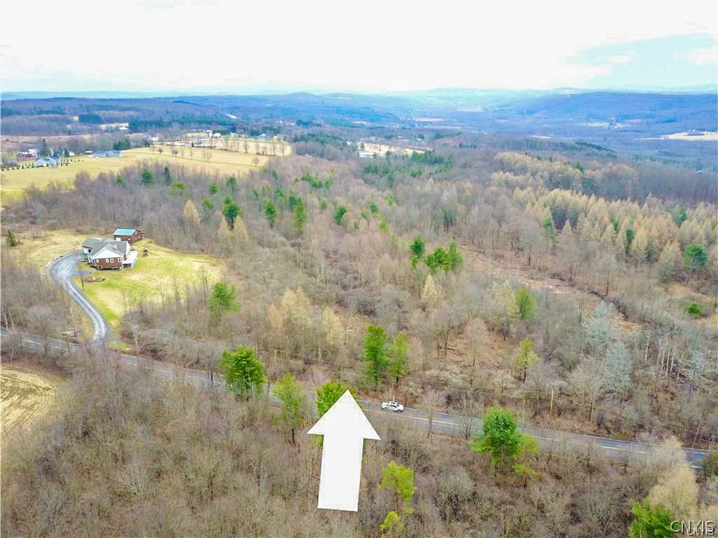 0 Owahgena Road Manlius, NY 13104 - Photo 6 of 6 Gallery Image 6