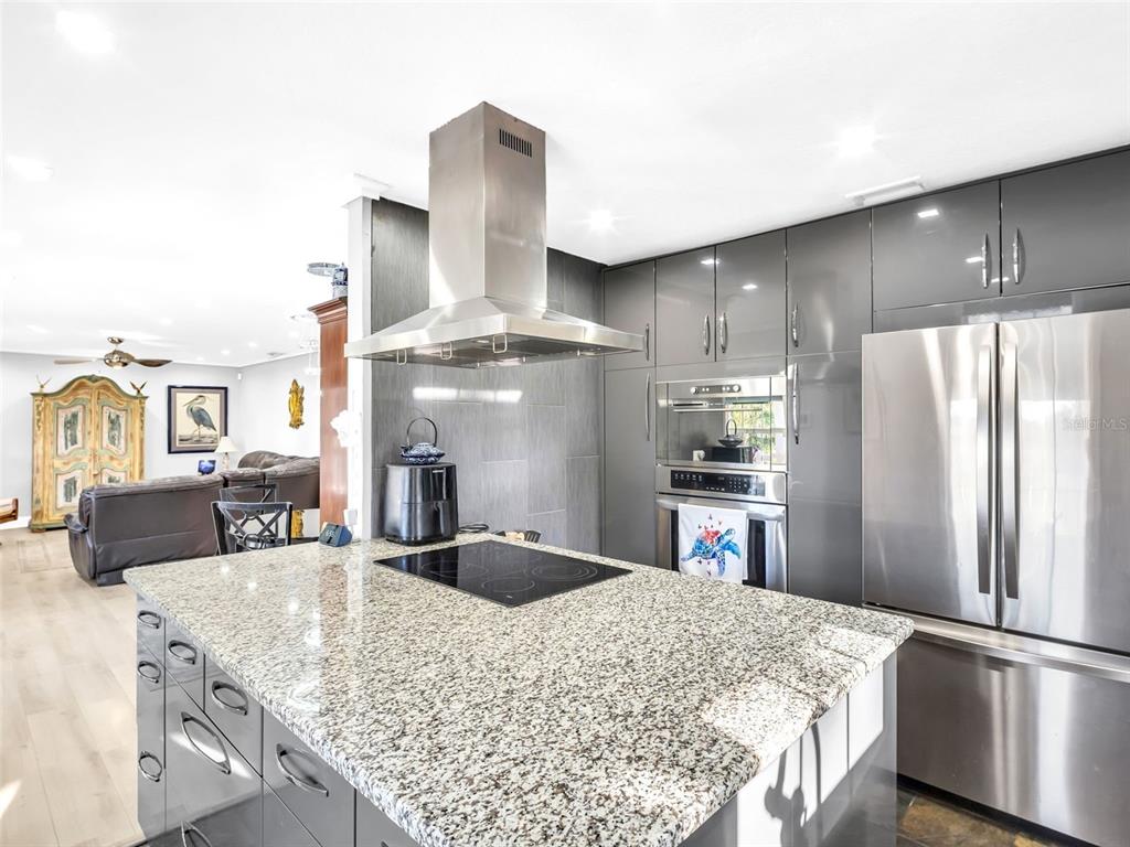 4915 S Road New Port Richey, FL 34652 - Photo 11 of 93 a kitchen with stainless steel appliances granite countertop a refrigerator and a sink
