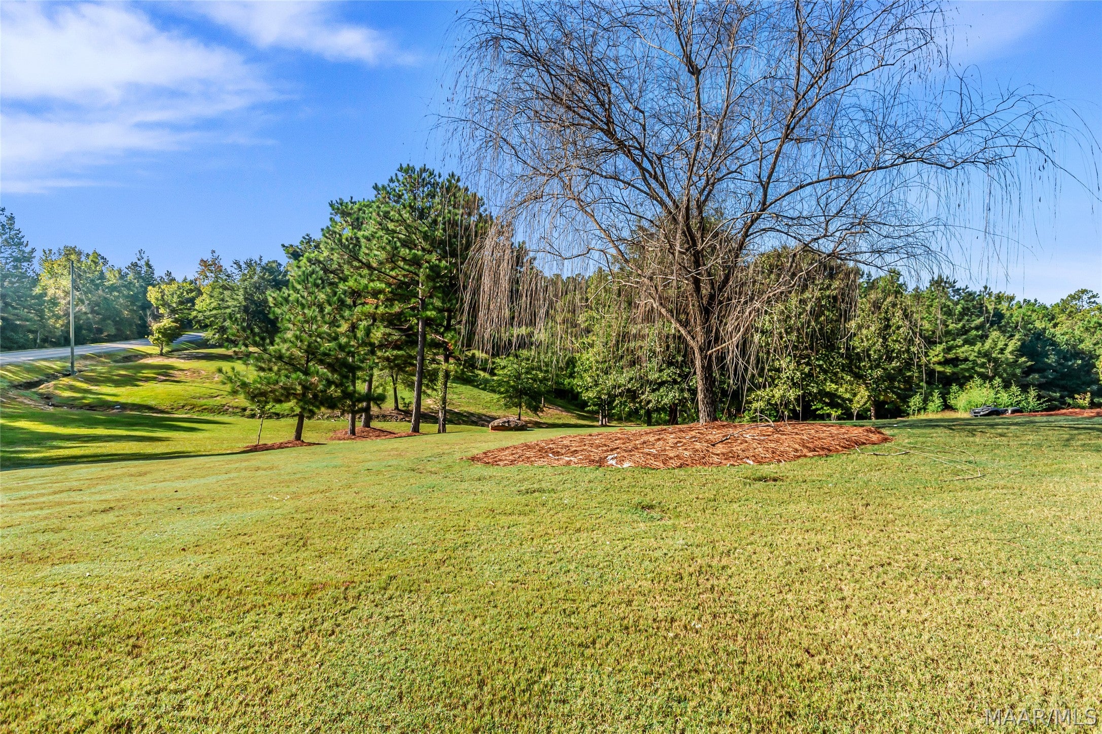 595 Nero Rock Road Eclectic, AL 36024 - Photo 43 of 62 Gallery Image 43