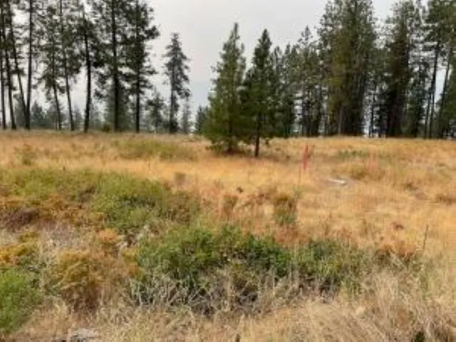 $59,900 | 1606 Palmer Lane, Chewelah, WA 99109