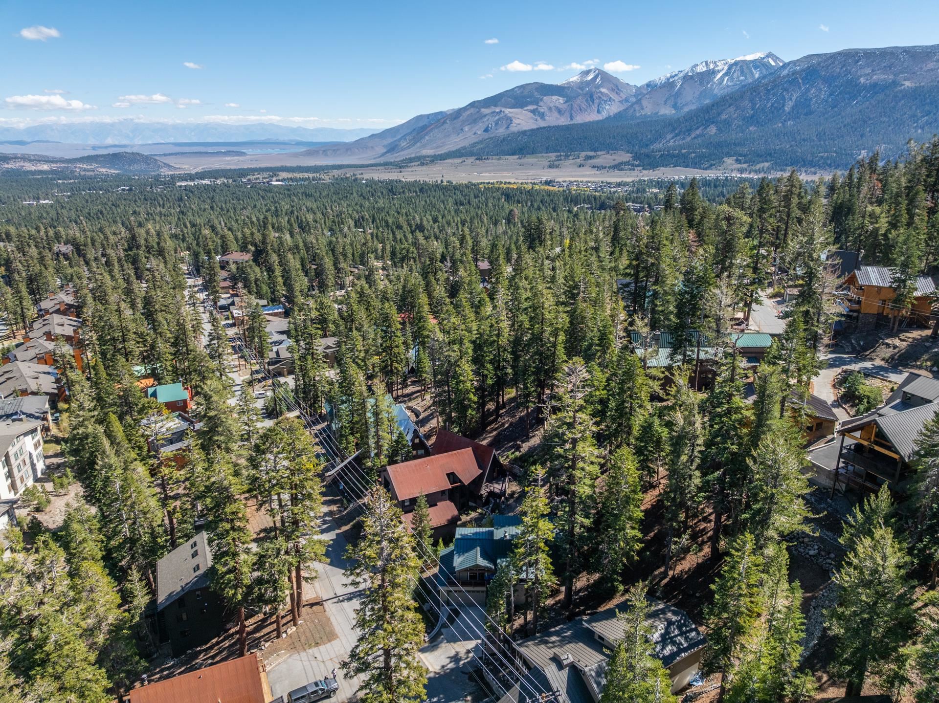349 Davison Road Mammoth Lakes, CA 93546 - Photo 40 of 43 a view of a city with lush green forest