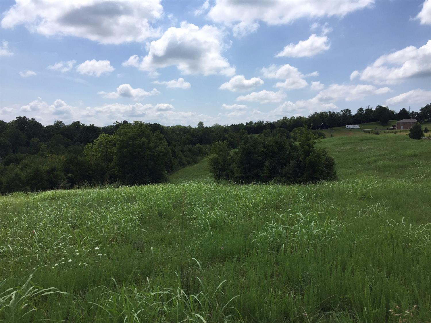 2 Cedar Ridge Road Stanford, KY 40484 - Photo 10 of 18 Photo 10