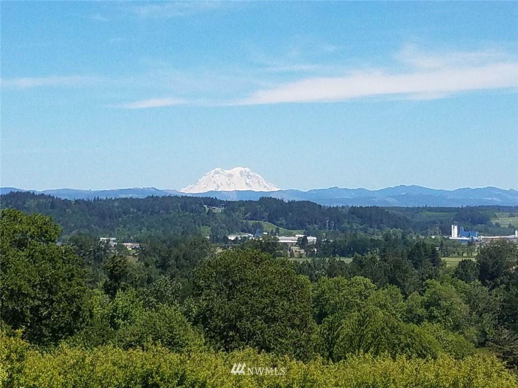 1057 Shorey Road Chehalis, WA 98532 - Photo 8 of 25