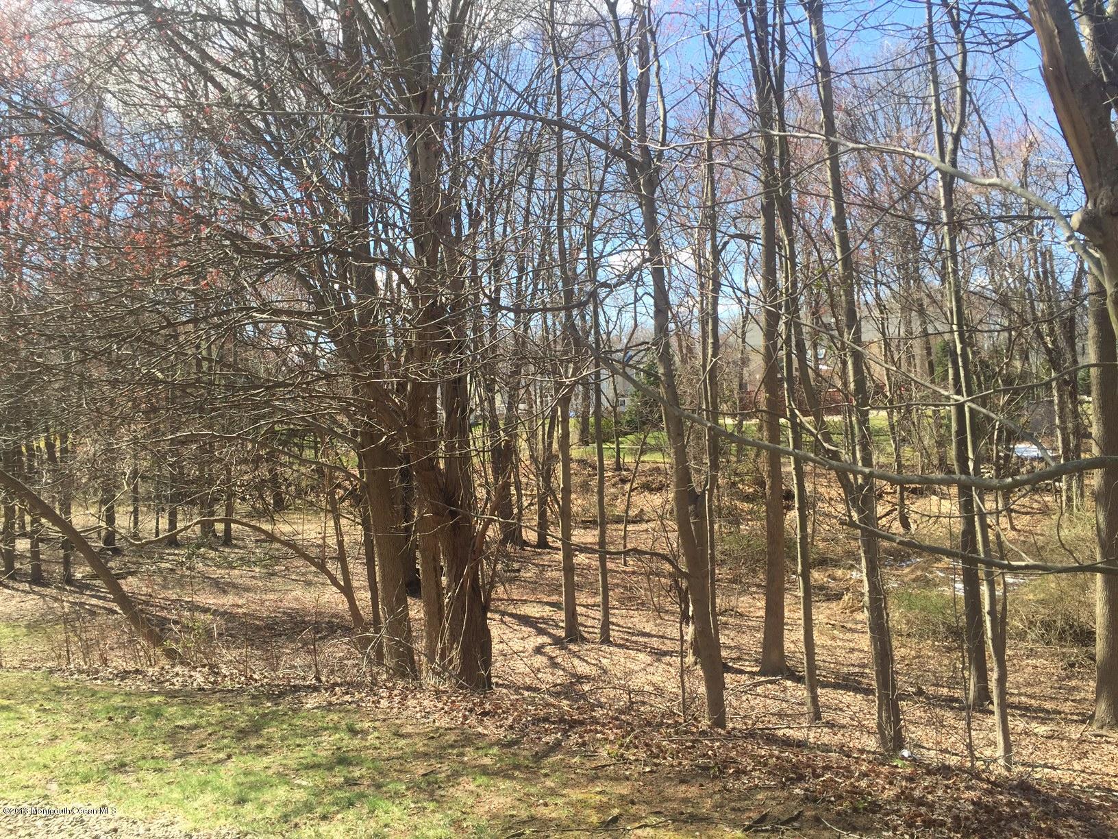 5 Knob Hill Road Morganville, NJ 07751 - Photo 2 of 6 a view of yard