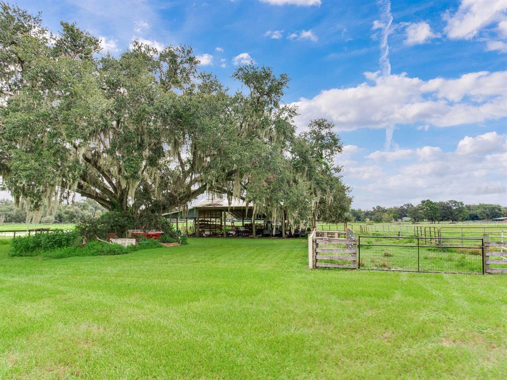 4402 McGee Road Plant City, FL 33565 - Photo 25 of 37 Gallery Image 25