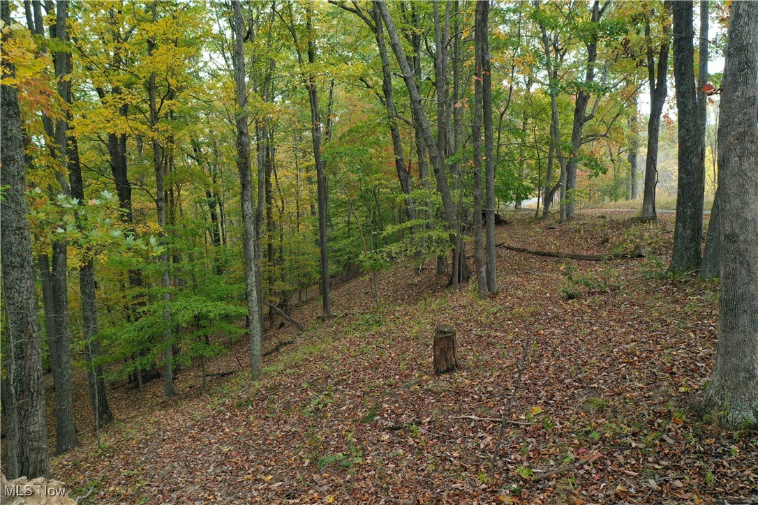 731 Riffle Run Road Grantsville, WV 26147 - Photo 21 of 30
