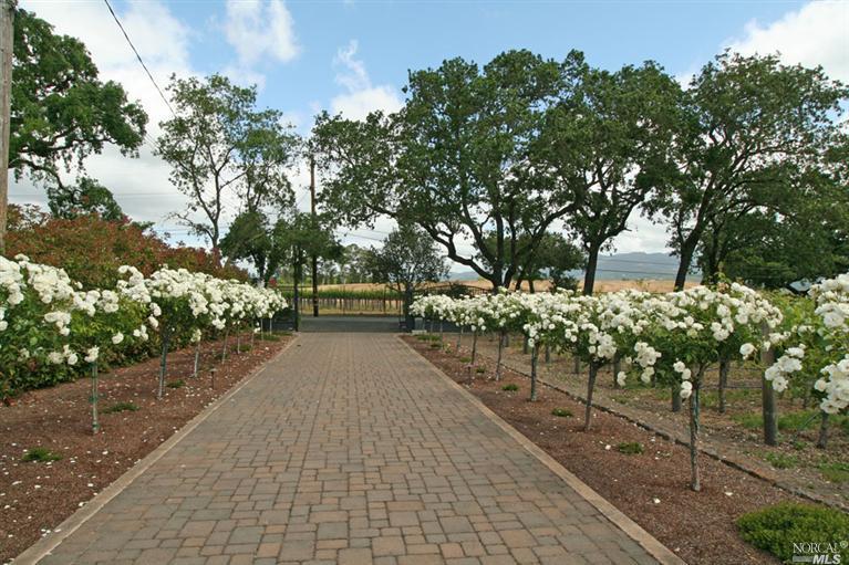 Undisclosed Address Sonoma, CA 95476 - Photo 1 of 1 a view of a pathway with a wrought fence