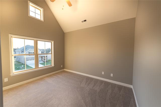 8009 Ragusa Circle Spring Hill, TN 37174 - Photo 14 of 17 Gallery Image 14