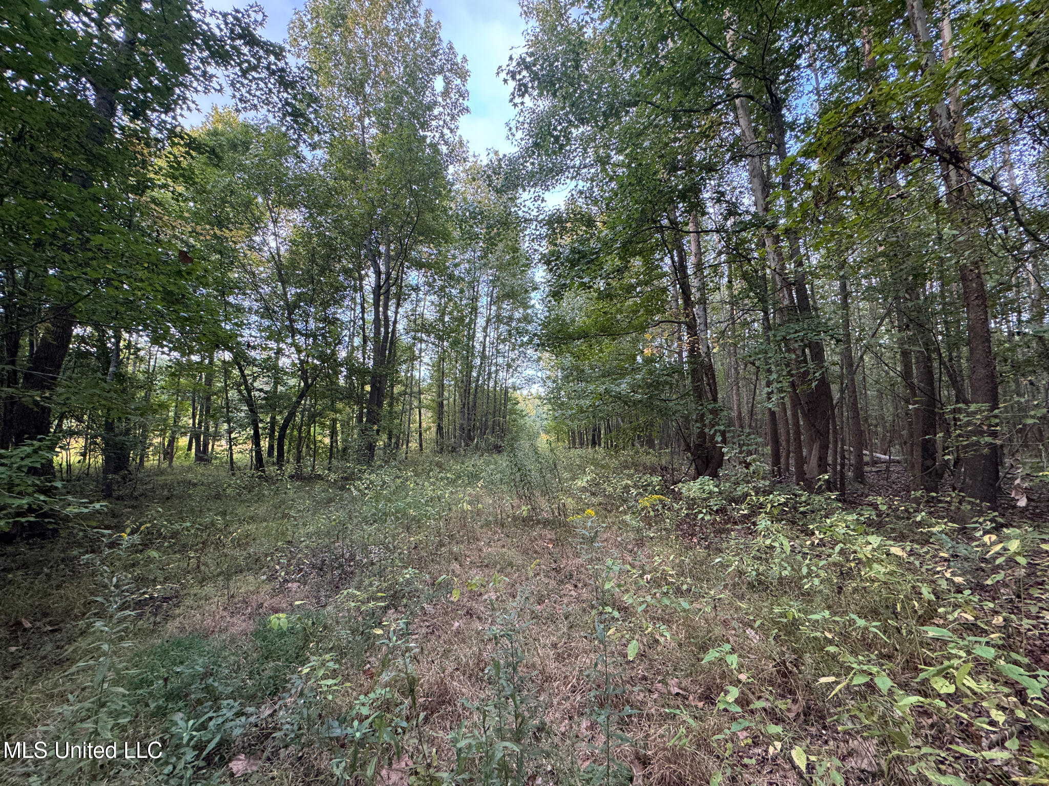Davis Lane Hernando, MS 38632 - Photo 24 of 43 MLS-DeSoto 329 Prewett (Thompson) -23