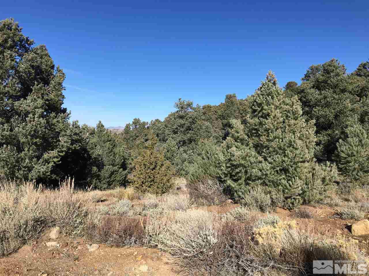 1390 Scorpion Road Reno, NV 89521 - Photo 1 of 6 a view of a large yard with lots of green space