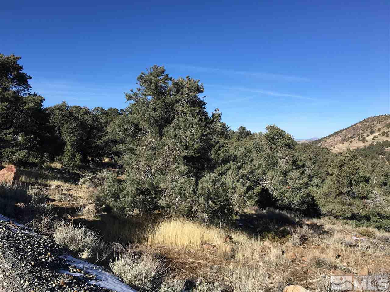 1390 Scorpion Road Reno, NV 89521 - Photo 2 of 6 a view of lake