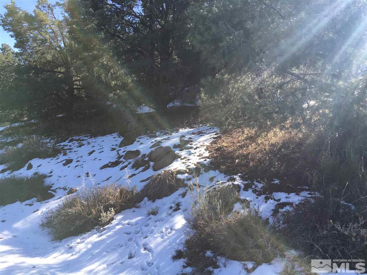 1390 Scorpion Road Reno, NV 89521 - Photo 3 of 6 a view of a lot of trees