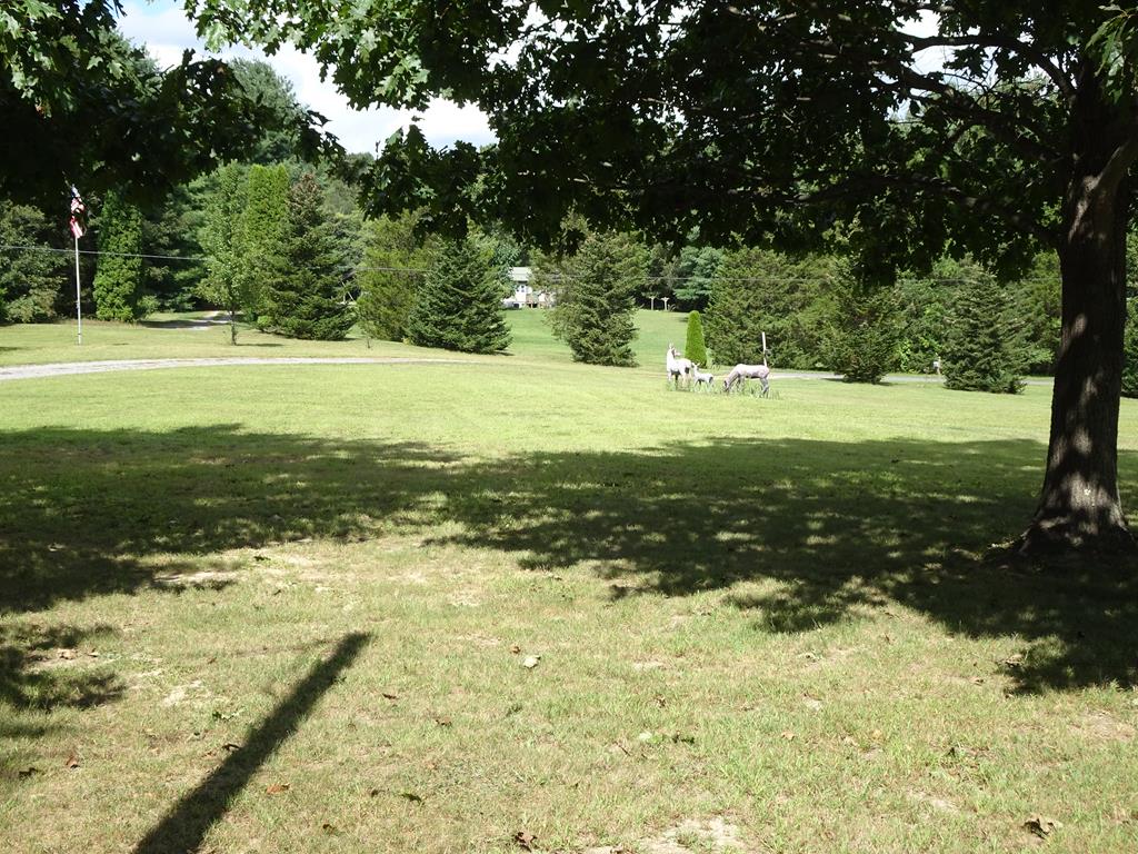 16907 Michele Road Todd, PA 16685 - Photo 11 of 20 Gallery Image 11