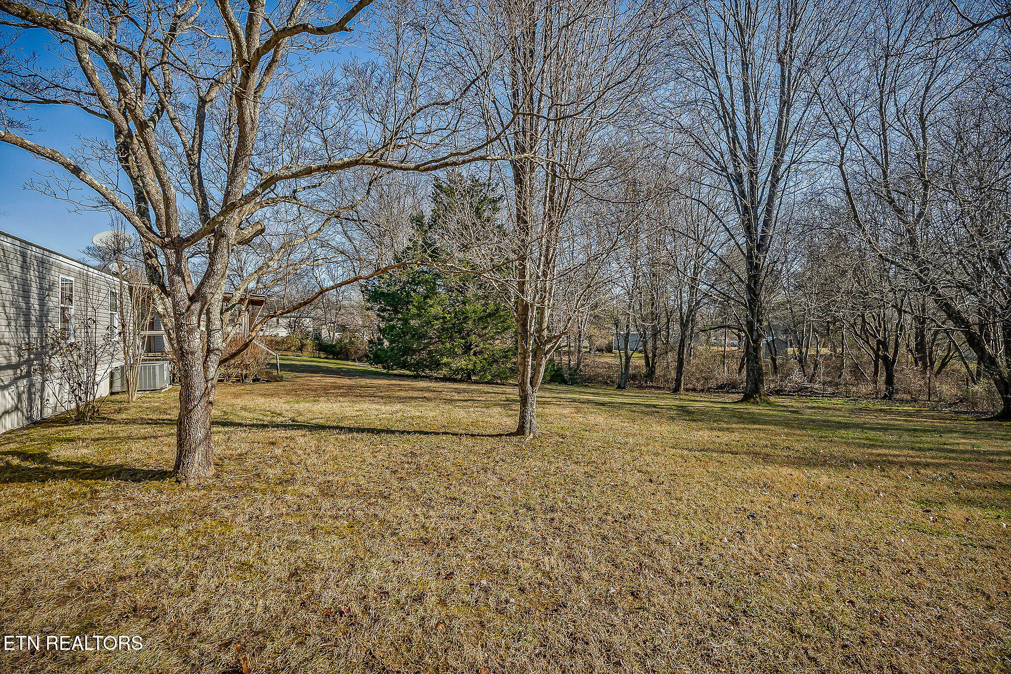 67 Fairview Loop Crossville, TN 38571 - Photo 17 of 20 DSC09580