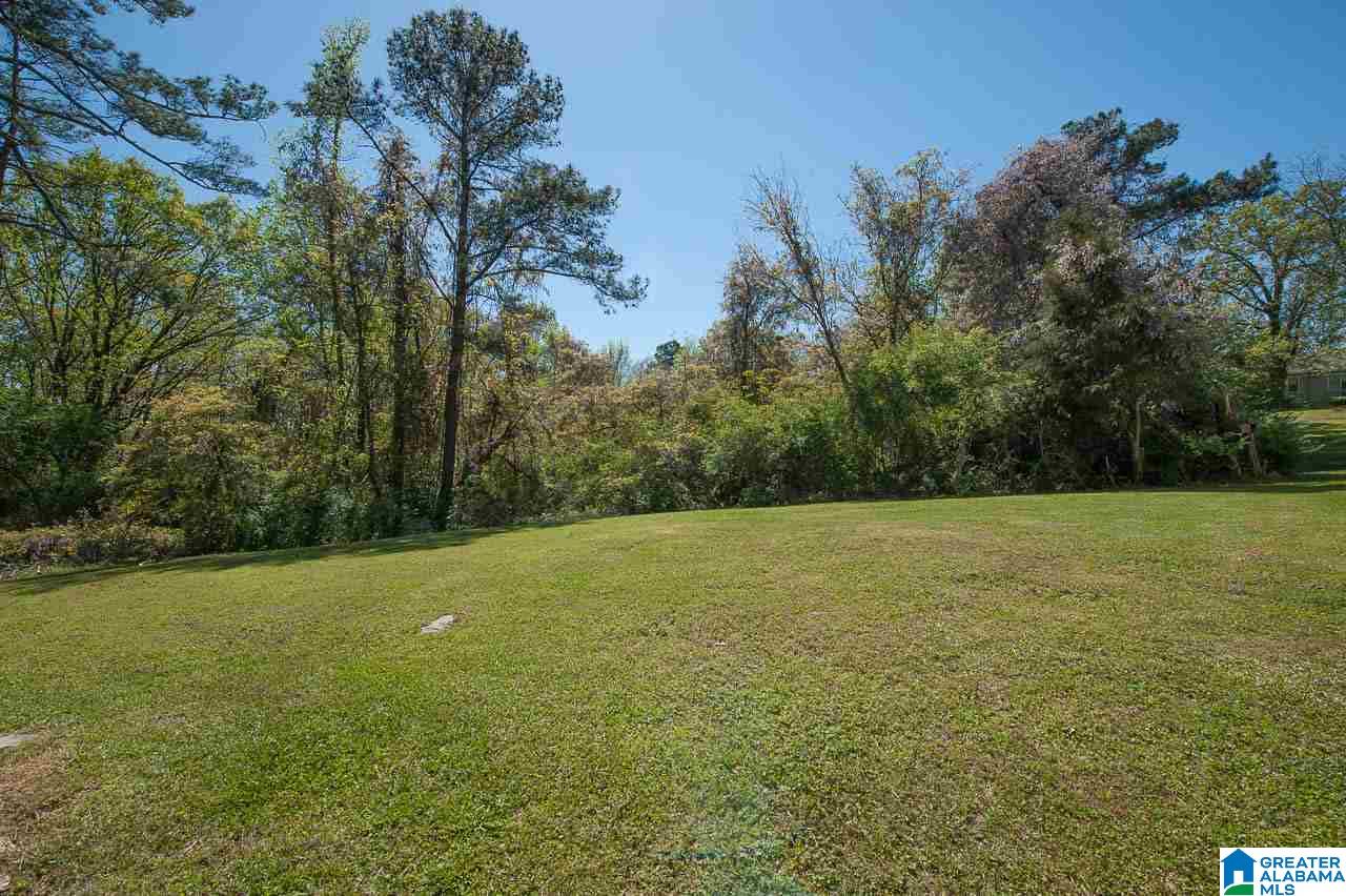 7037 Highway 10 Montevallo Al Montevallo, AL 35115 - Photo 30 of 35