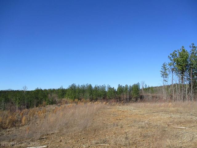 220 Bus Road Stoneville, NC 27048 - Photo 11 of 40 Gallery Image 11
