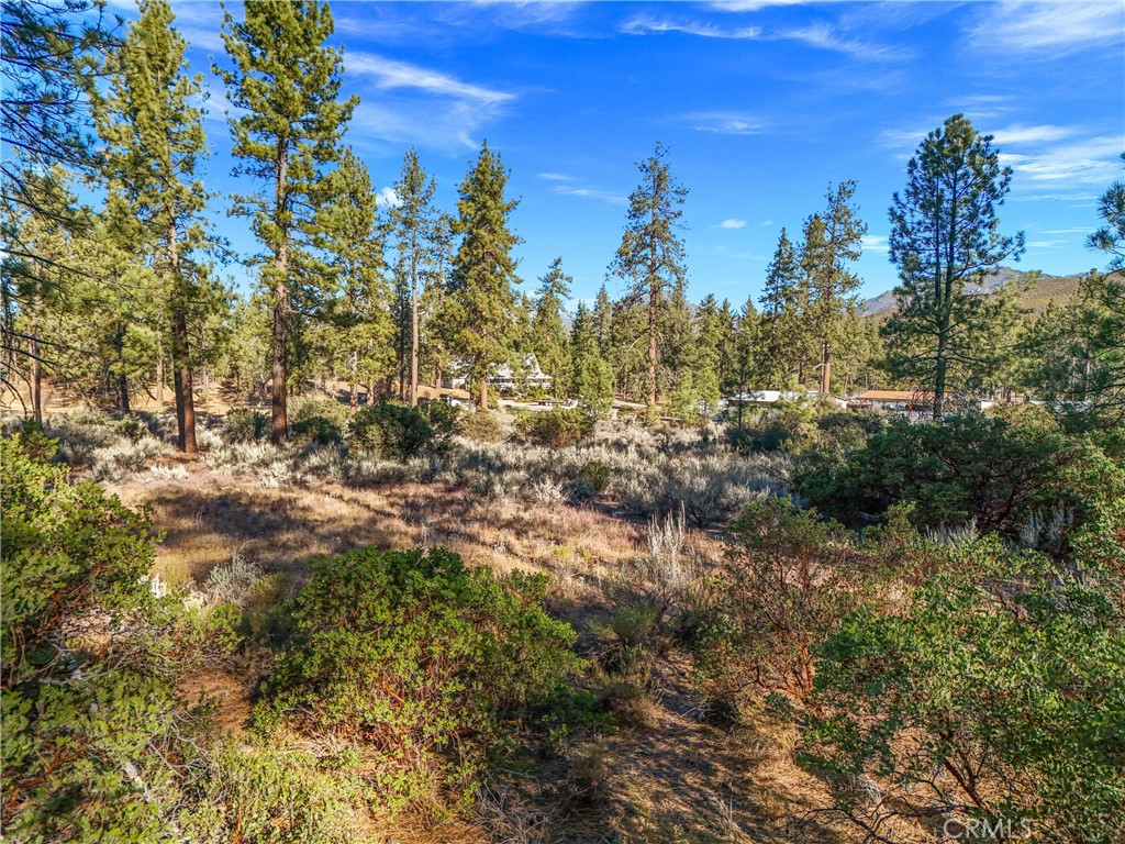 1 Pipe Creek Road Mountain Center, CA 92561 - Photo 6 of 20 a view of a city with lots of trees